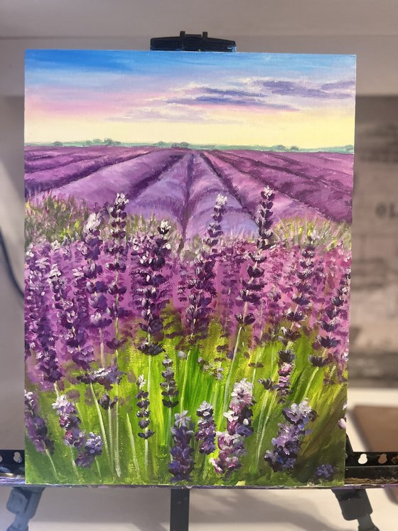 Lavender Field