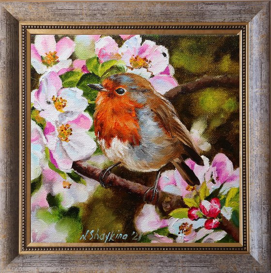 Robin Bird Painting