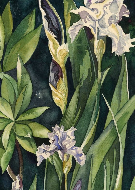 iris with rhododendron watercolor