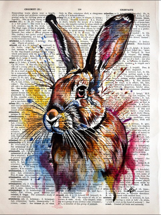 Colorful Rabbit