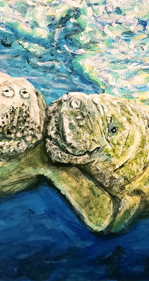 Manatees Cuddling by Robbie Potter