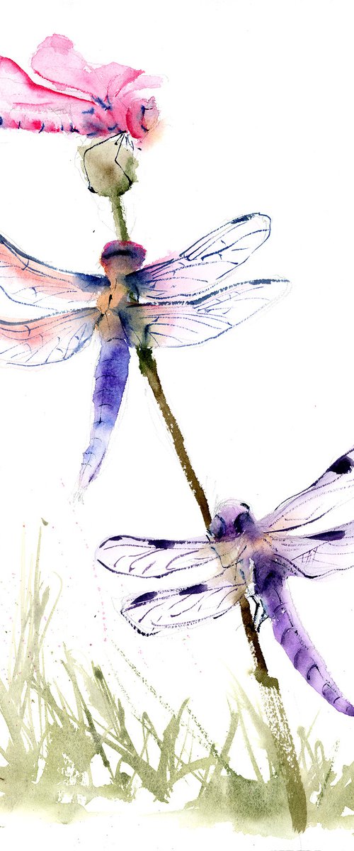 3 Dragonflies by Olga Tchefranov (Shefranov)