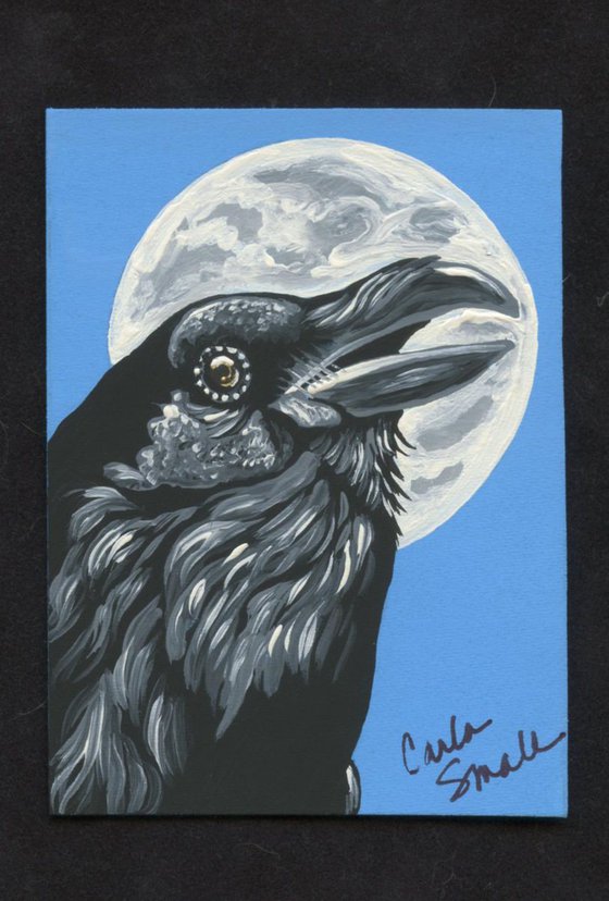 ACEO ATC Original Painting Crow Raven Wildlife Bird Art-Carla Smale