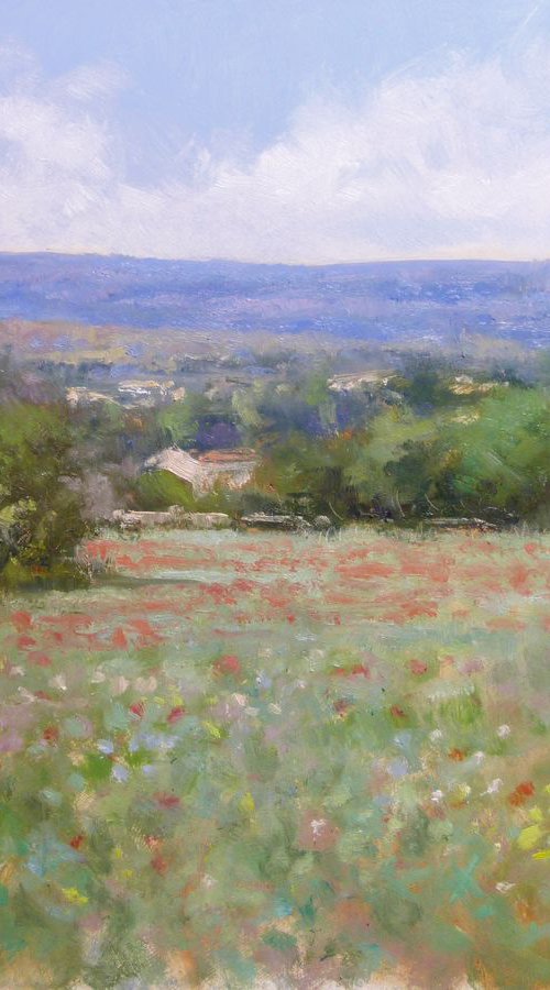 Countryside near Gordes by Pascal Giroud