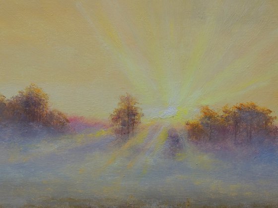 Light Through the Mist