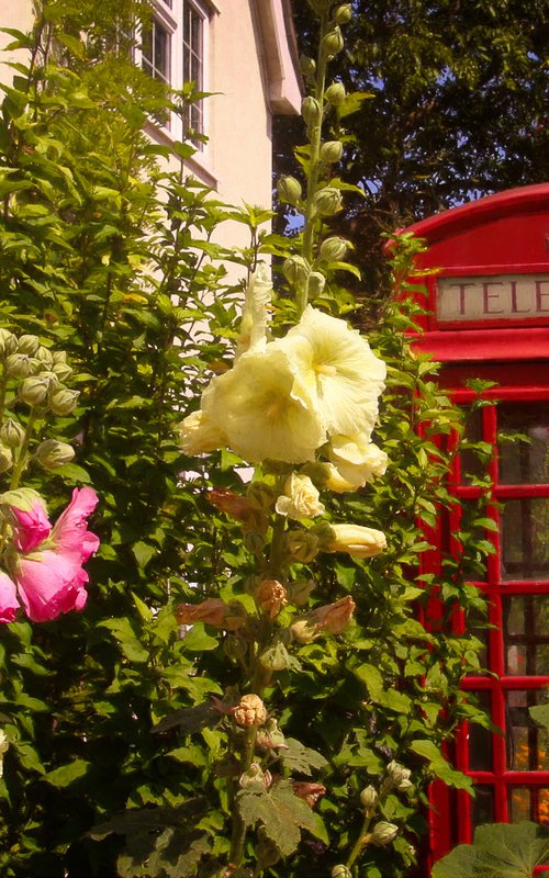Floral Telephone Box by Martin  Fry