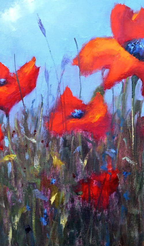 Scarlet Poppies by Elena Lukina