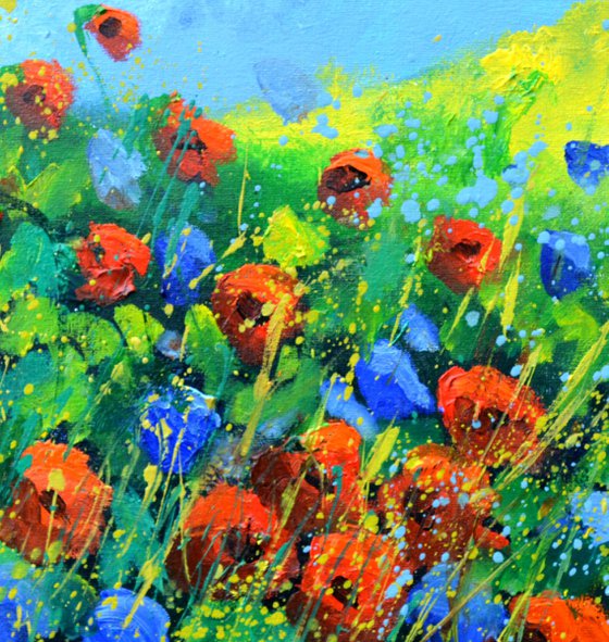 Flowers in Provence 44