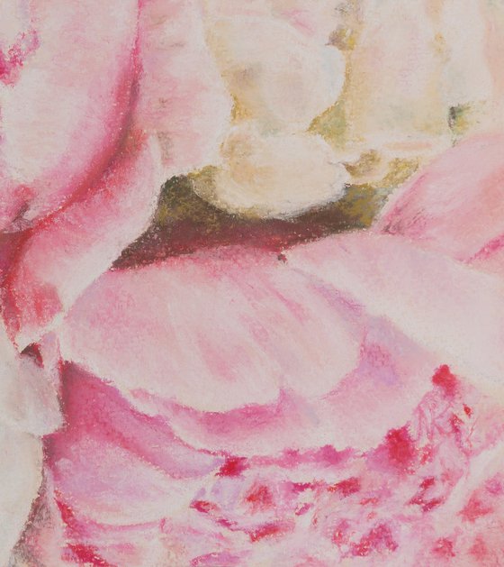 Pink Peony Flowers