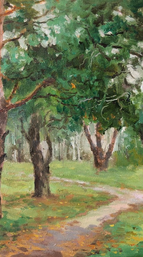 Pine trees in the park by Olga Goryunova