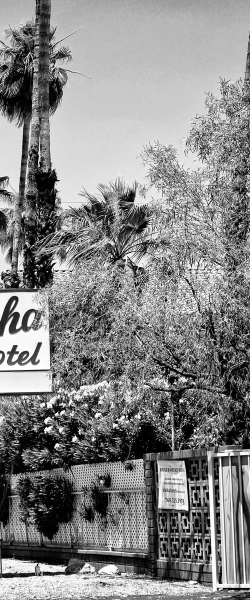 ALOHA HOTEL NOIR Palm Springs CA by William Dey