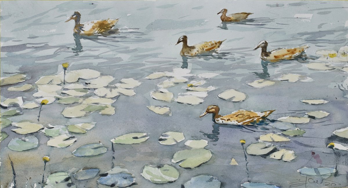 Expressive Animal Watercolour By Goran Zigolic Watercolors, 21 X 11, Ducks, Original Artwork