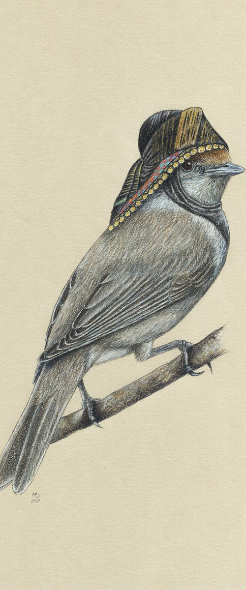 Original pastel drawing bird "Eurasian blackcap" by Mikhail Vedernikov