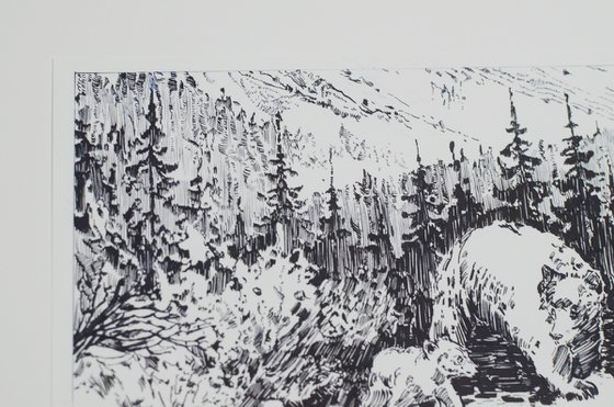 Imagining Bears