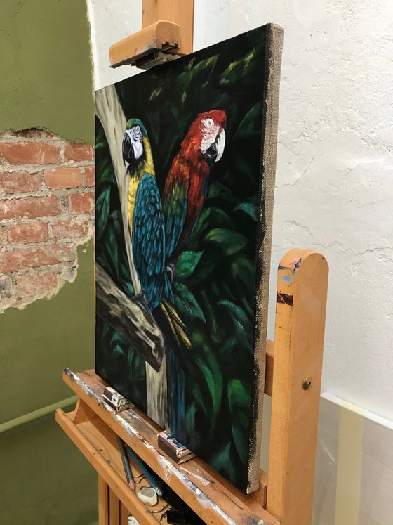 Parrots in the jungle