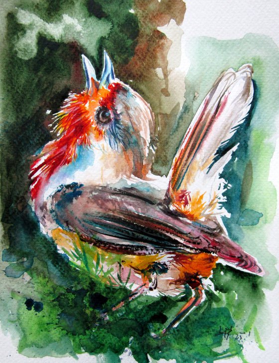 Singing Robin