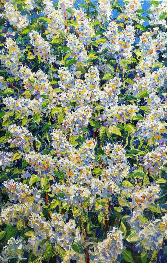 Breath of spring