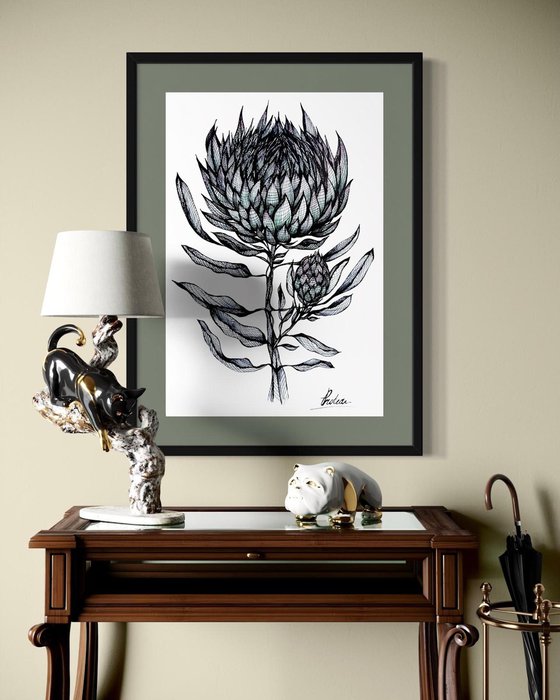 PROTEA FLOWER
