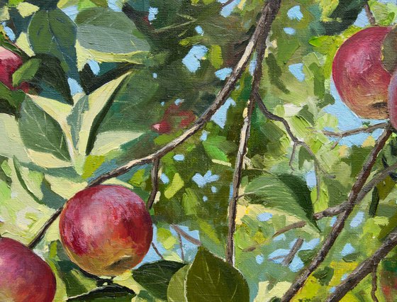 Apples. Oil painting. Original Art. 20 x 24in