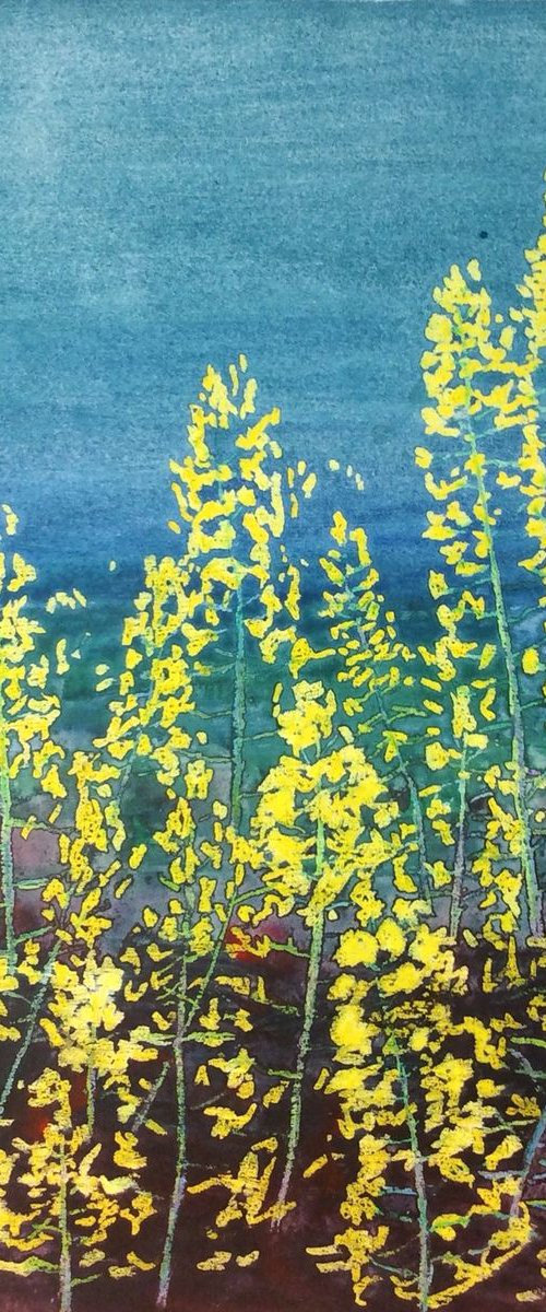Yellow Bloom by Jing Tian
