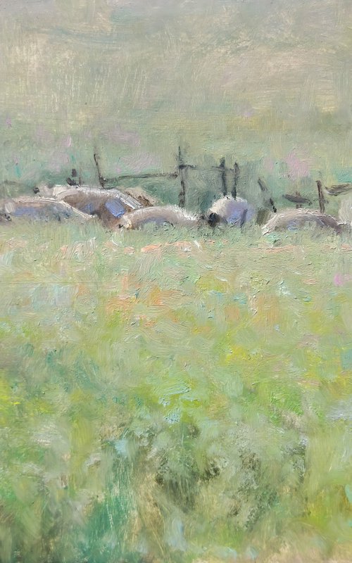 Flock of Sheep by Pascal Giroud