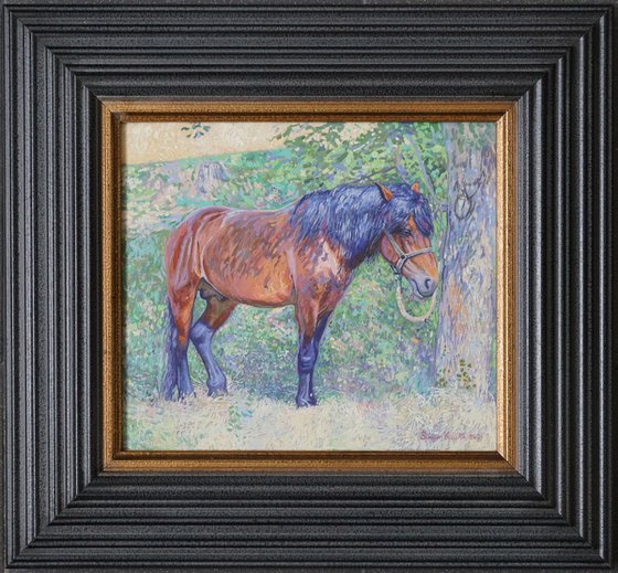 Horse in the shade of trees