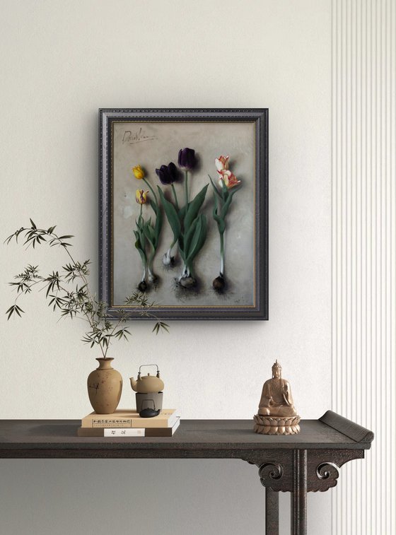 Tulip Bulbs 01