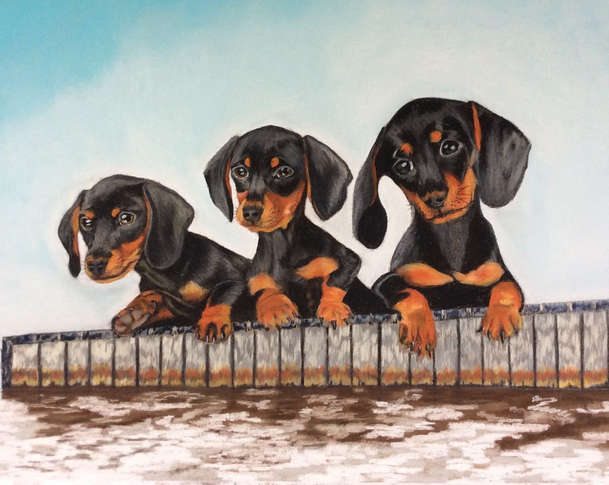 Photorealistic Animal Pastel Drawing By Anne Shaughnessy, 23 X 18, Pups On The Dock, Original Artwork