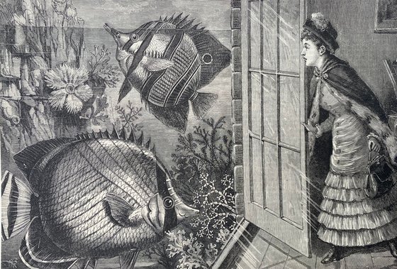Fish at the door