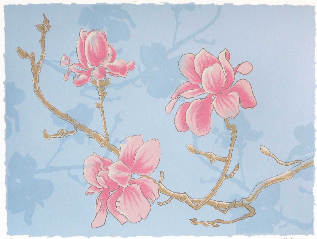 Magnolia by Louise Boulton