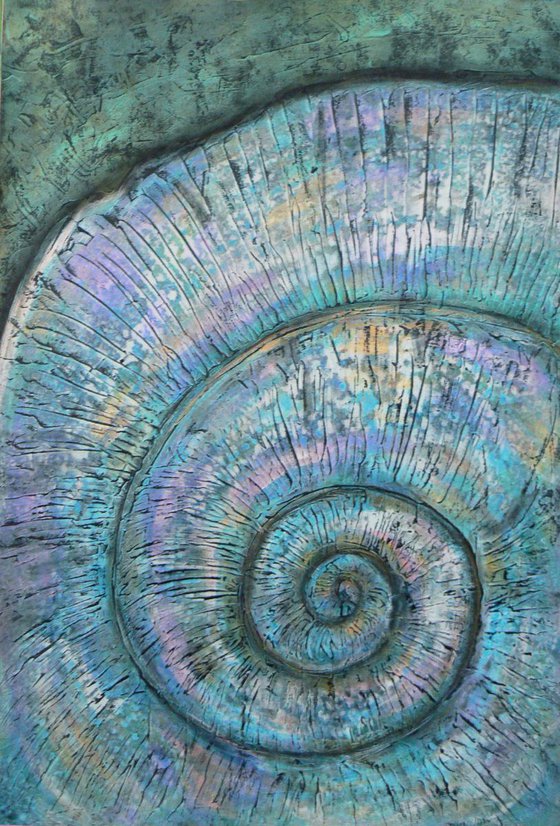 Ammonite (textured artwork of a fossil ammonites) #6