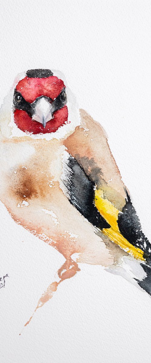 Goldfinch by Andrzej Rabiega