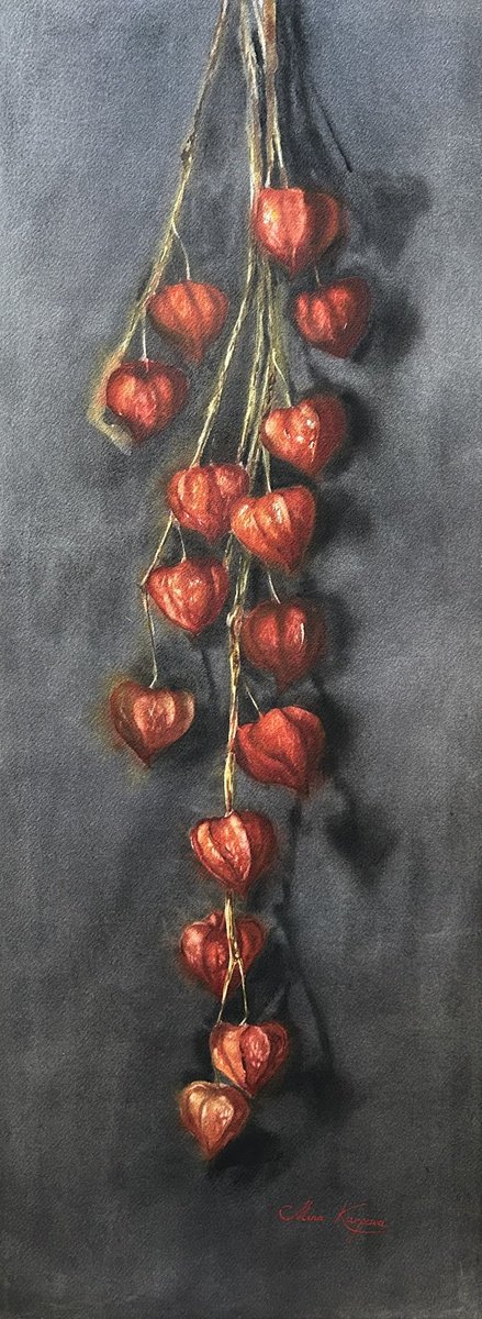 Photorealistic Botanical Watercolour By Alina Karpova, 11 X 30, Physalis Lantern, Original Artwork