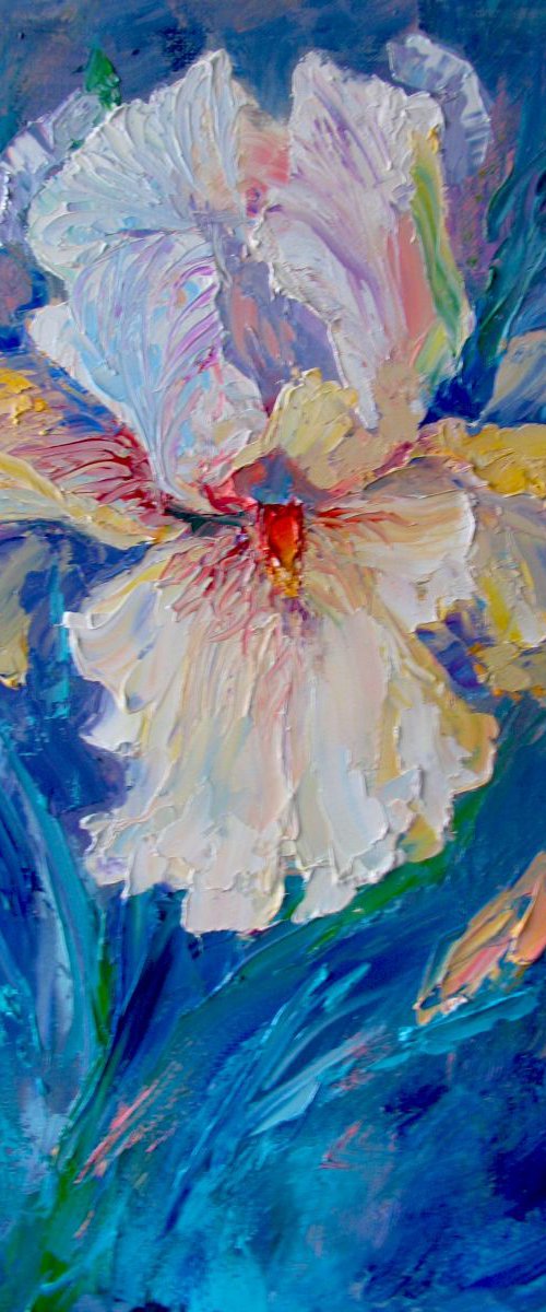 The tender iris by Irina Sergeyeva