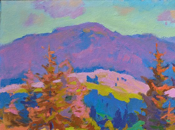 Life in the Mountains