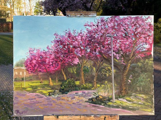 Spring Sakura Alley Plein Air