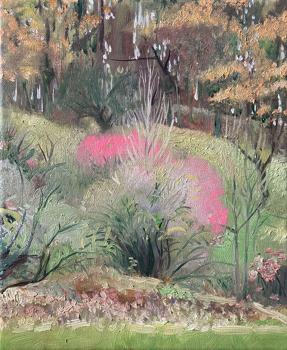 Impressionistic Landscape Oil Painting By Fosco Culto, 10 X 12, Pink Bush, Original Artwork