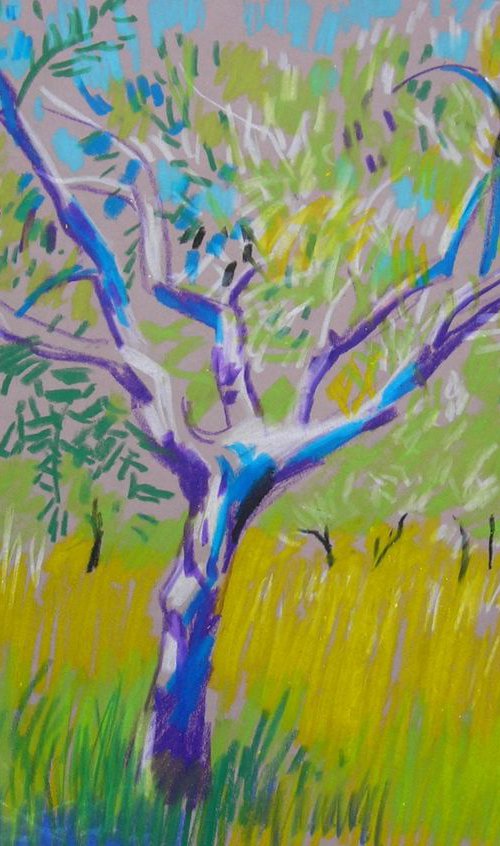 Olive tree study by Maja Grecic