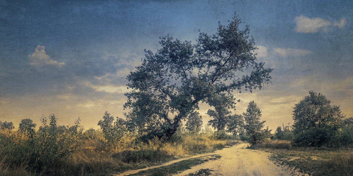 Photorealistic Landscape Photograph By Valerix, 31 X 16", Roam The Roads In August., Original Artwork