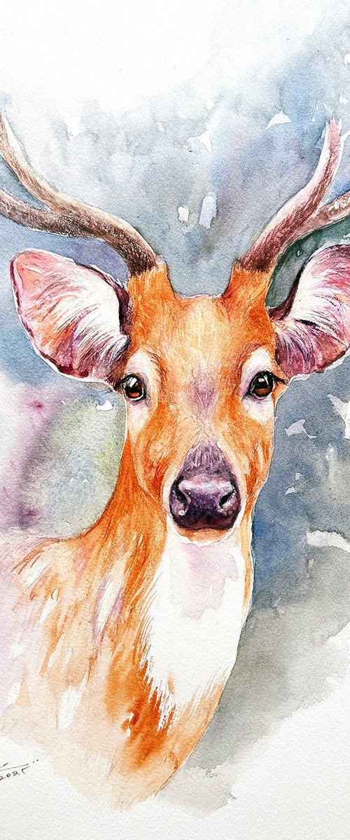 Wild Grace-Chital by Arti Chauhan