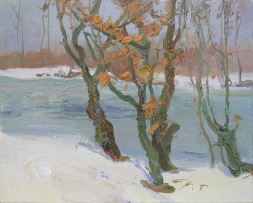 Trees near the river by Victor Onyshchenko