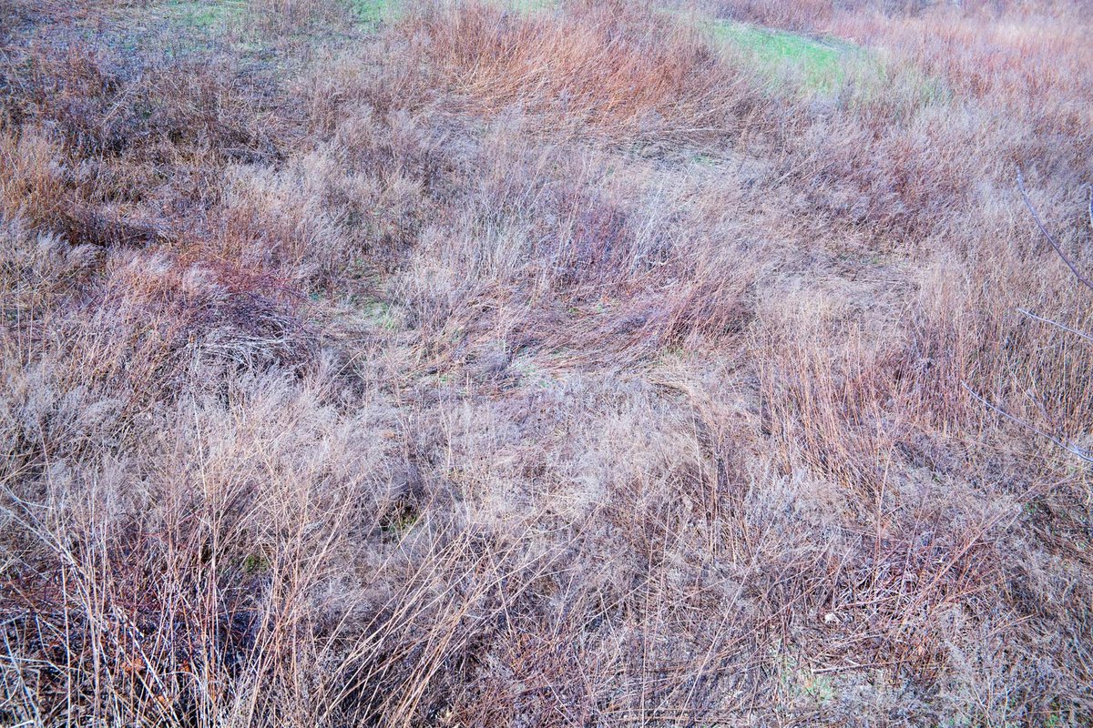 Surrealistic Photograph , Harriman 10 By Michael Filonow, 32 X 22, Artwork For Sale On Artfinder