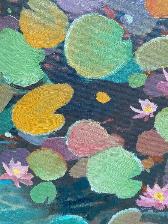 Water lilies