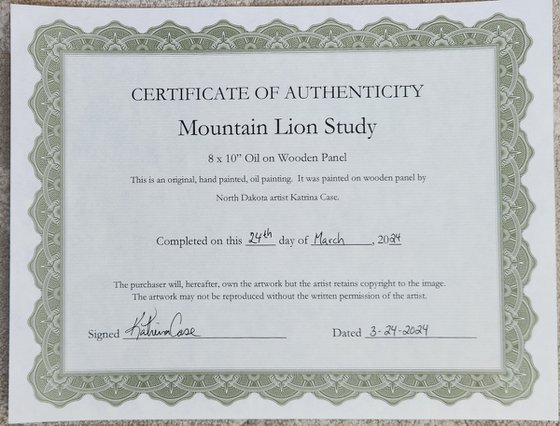 Mountain Lion Study