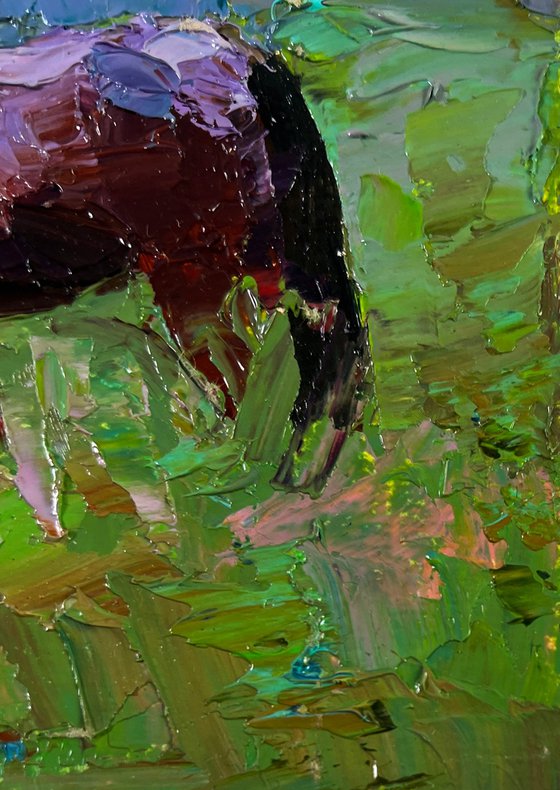 Horses Grazing Peacefully