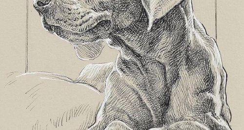 Artwork by Katarzyna Gagol