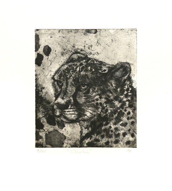 African Cheetah Etching