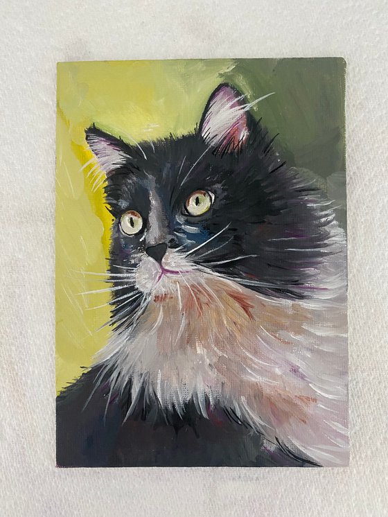 The gaze. Cat in oil paints.