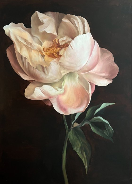 Old Holland flower 6