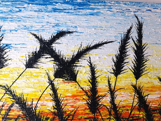 Sunrise In The Grass.